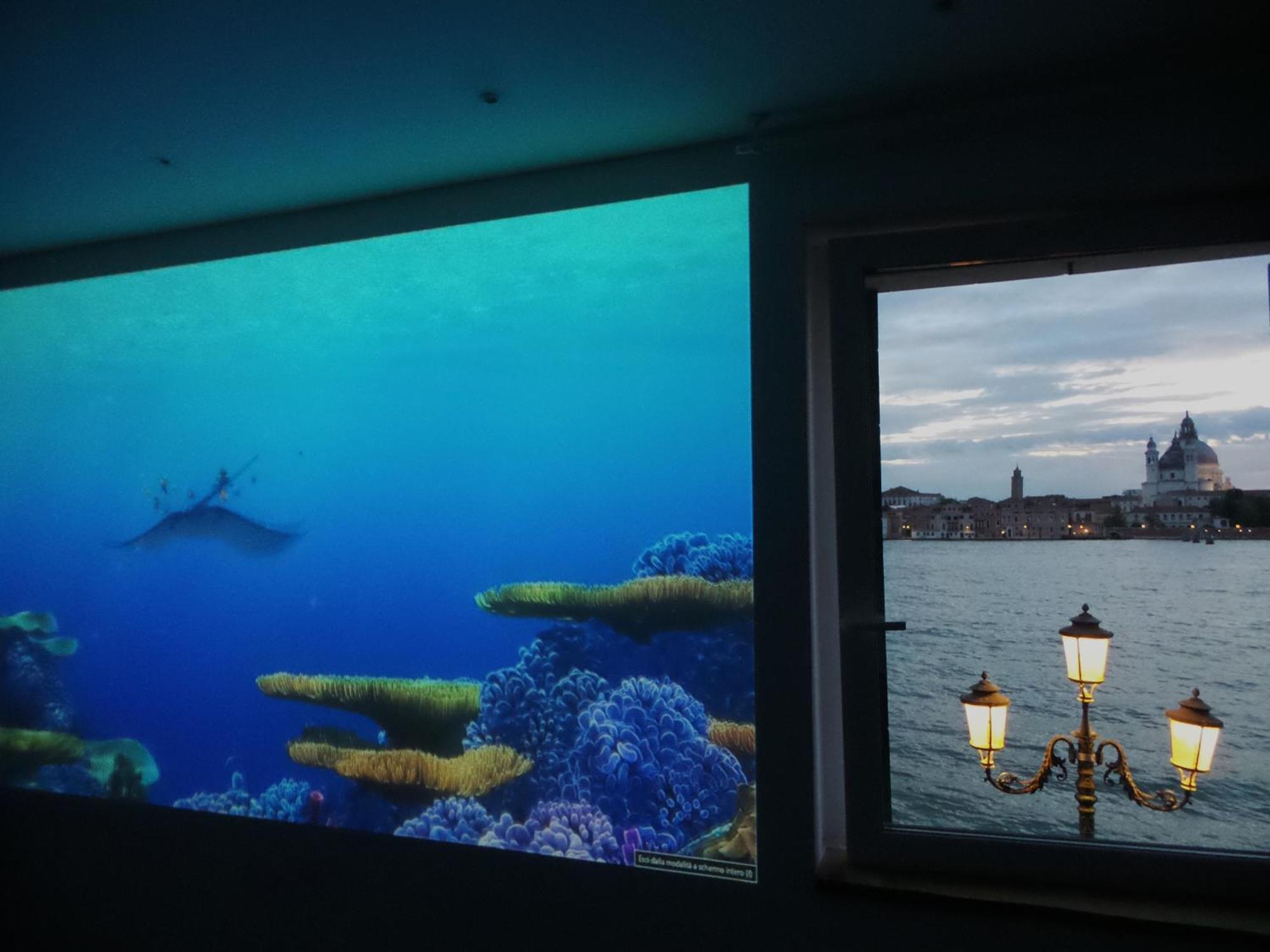 ונציה 3 Windows On St Mark - Waterfront Apartment מראה חיצוני תמונה