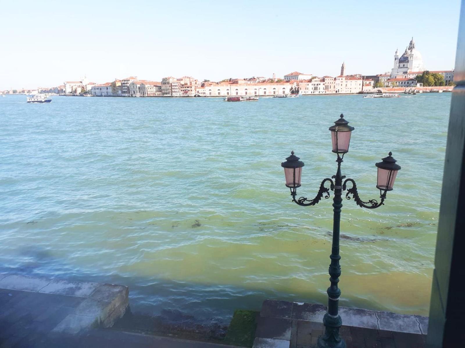 ונציה 3 Windows On St Mark - Waterfront Apartment מראה חיצוני תמונה
